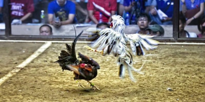 vtv3 ﻿đăng nhập lô đề uy tín