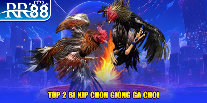 vtv3 bắn cá h5