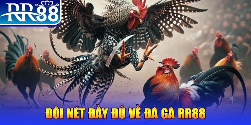 vtv3 gà chọi hoà phong