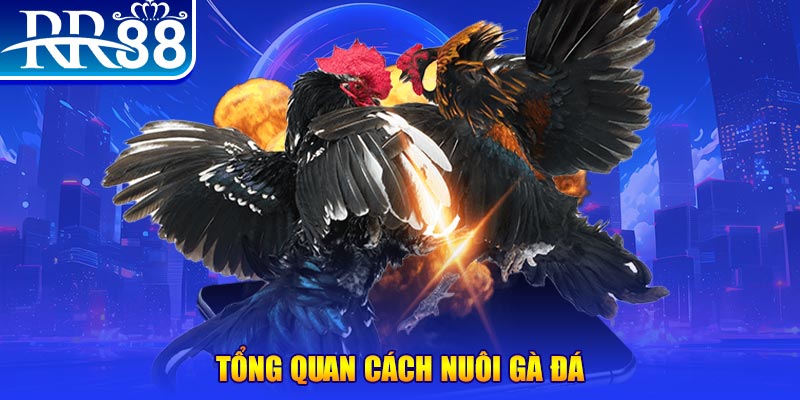 vtv3 xổ số thứ ba