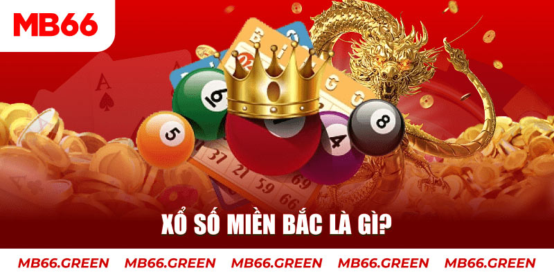 vtv3 đá gà 88