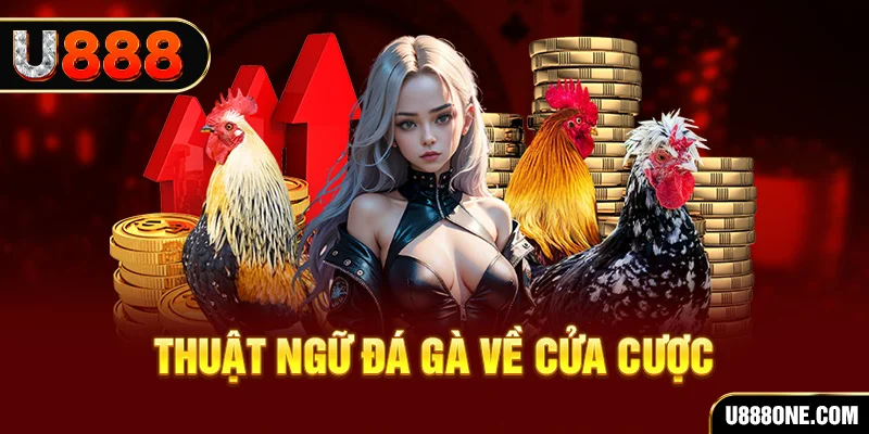 vtv3 da ga 88