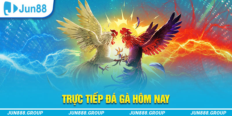 vtv3 trực tiếp đá gà thomo