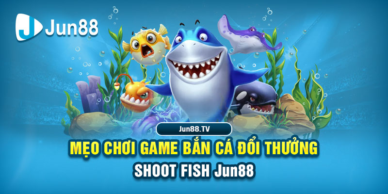 vtv3 tải game đánh bài online về máy tính
