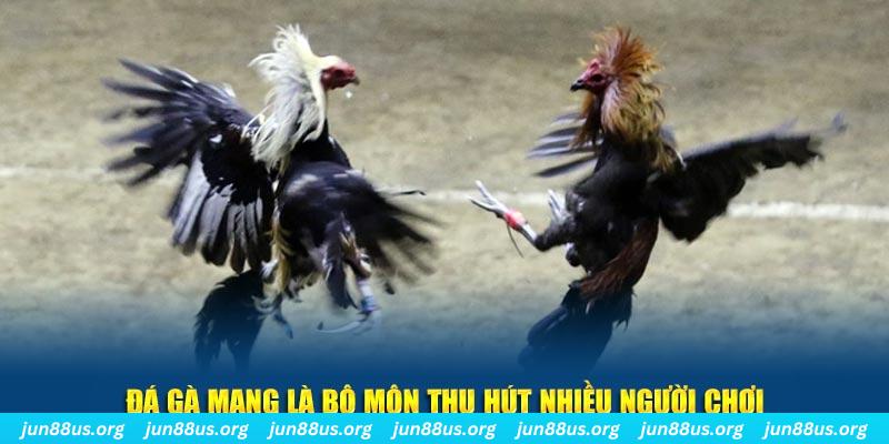 vtv3 xổ số long an