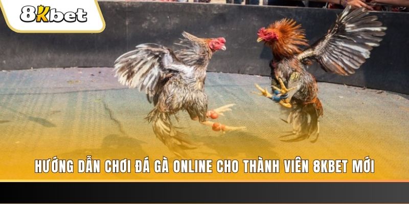 vtv3 nổ hũ đổi thưởng . ai