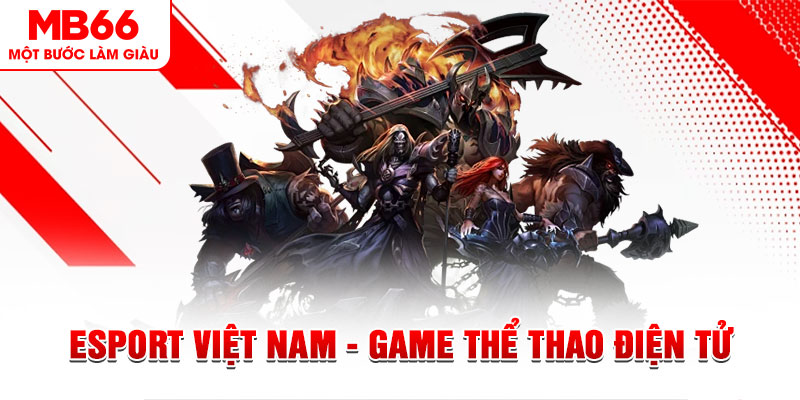 vtv3 PT Điện Tử