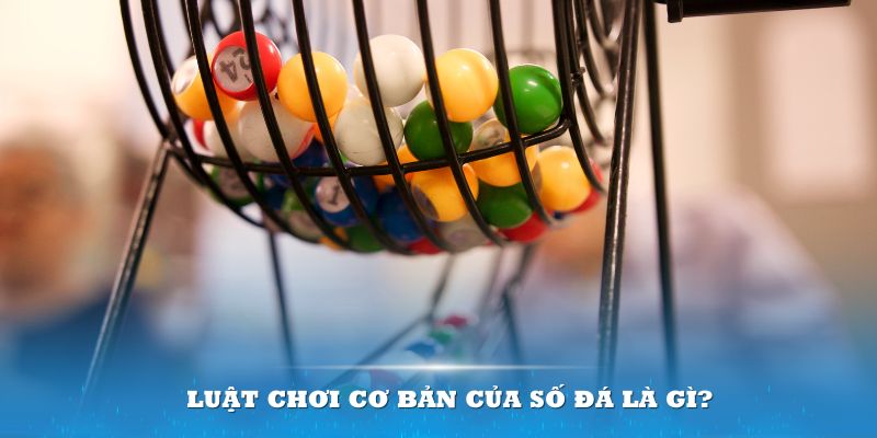 vtv3 Đĩa màu ace