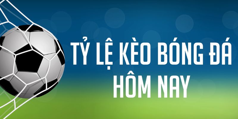 vtv3 ÁT CHỦ MÁY HOA QUẢ THẦN TÀI