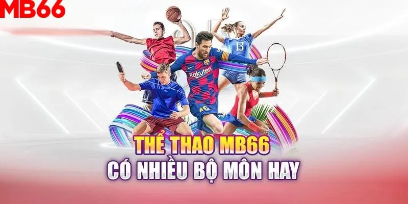 vtv3 slot là gì nghĩa