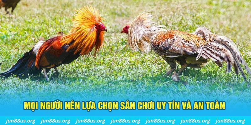 vtv3 Tài Xỉu
