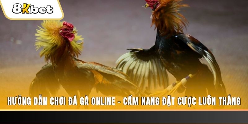 vtv3 tai game danh bai bigkool ve may tinh