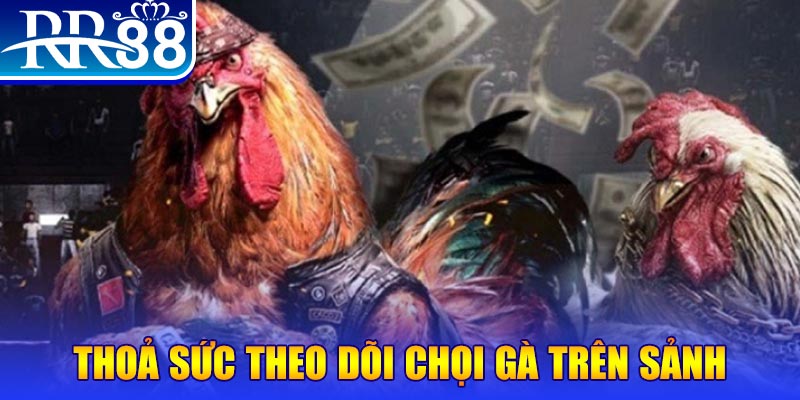 vtv3 casino online là gì