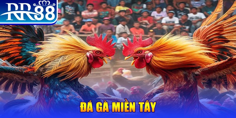vtv3 download game danh bai iwin ve may tinh