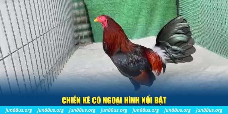 vtv3 nhạc slot là gì